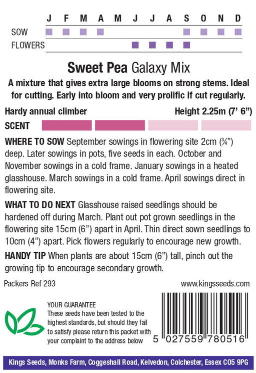 Kings Seeds Sweet Pea Galaxy Mix Seeds