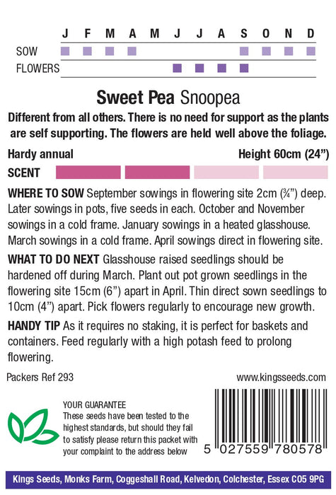 Kings Seeds Sweet Pea Snoopea Seeds