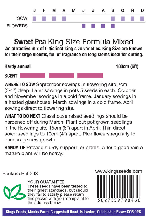 Kings Seeds Sweet Pea King Size Mixed