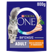 Purina One Adult Cat Chicken Dry Cat Food