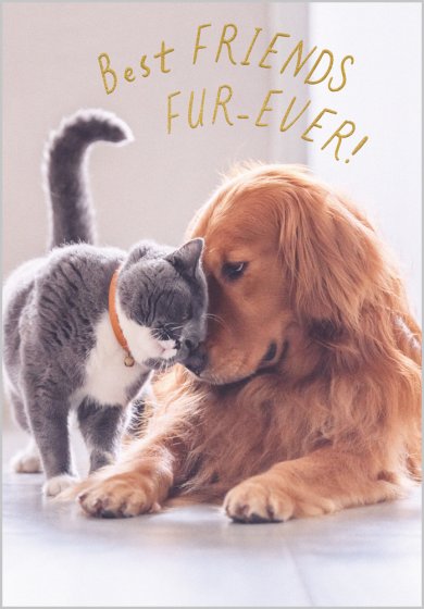 Friends Fur-ever Card