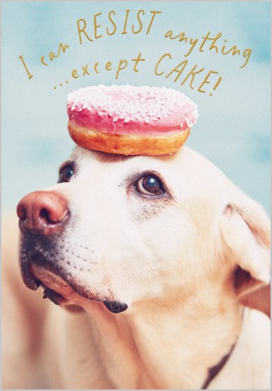 I Can Resist Anything Card