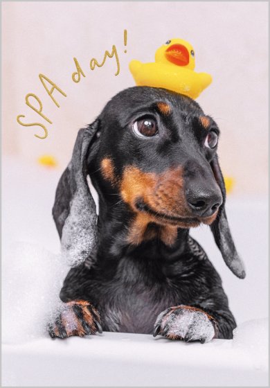 Spa Day Card