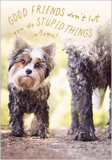 Stupid Things Card