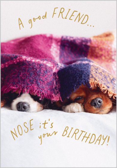 Nose It's Your Birthday Card