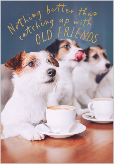 Catching Up With Old Friends Card
