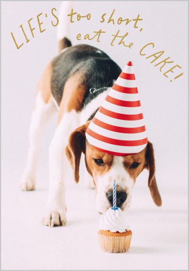 Life's Too Short Card