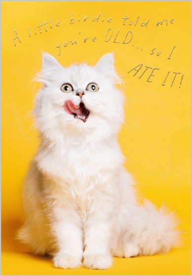 A Little Birdie Told Me Card