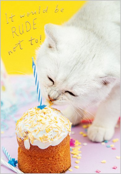 It Would Be Rude Not To Card