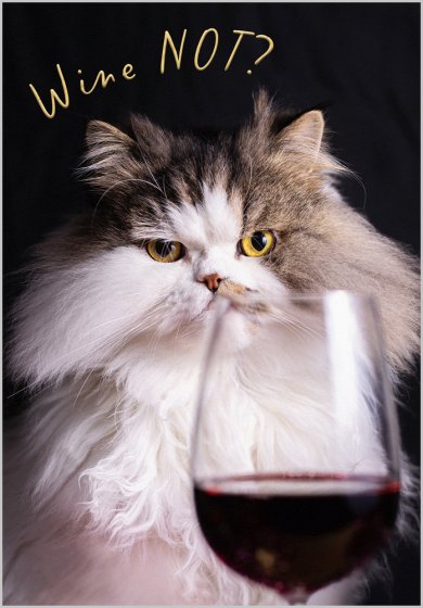 Wine Not? Card