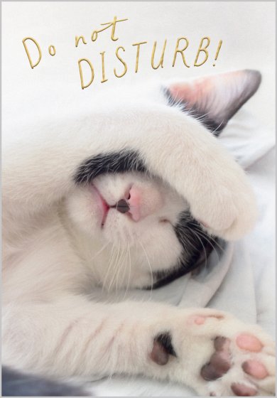 Do Not Disturb Card
