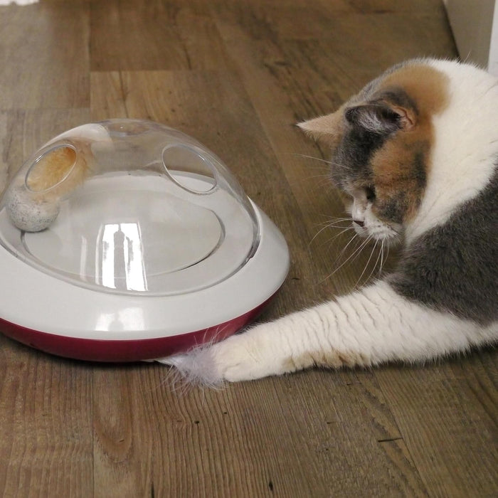 Jolly Moggy Feather Chaser