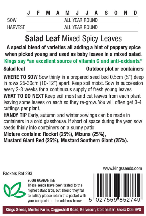 Kings Seeds Salad Leaf Mixed Spicy Leaf Seeds