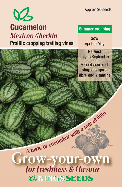 Kings Seeds Cucumber Cucamelon Seeds