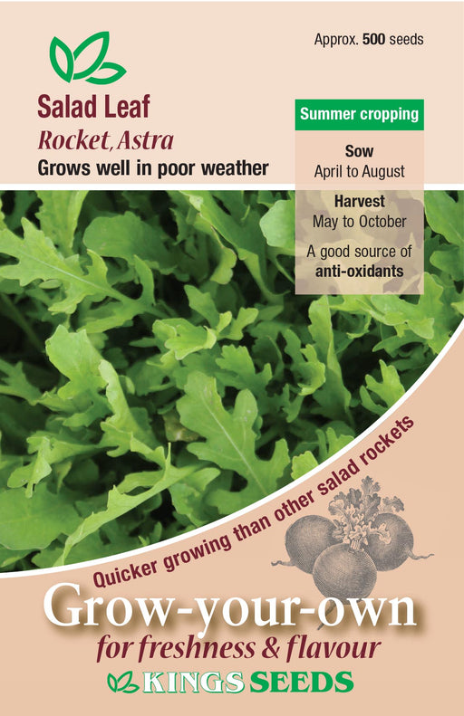 Kings Seeds Salad Leaf Rocket Astra Seeds