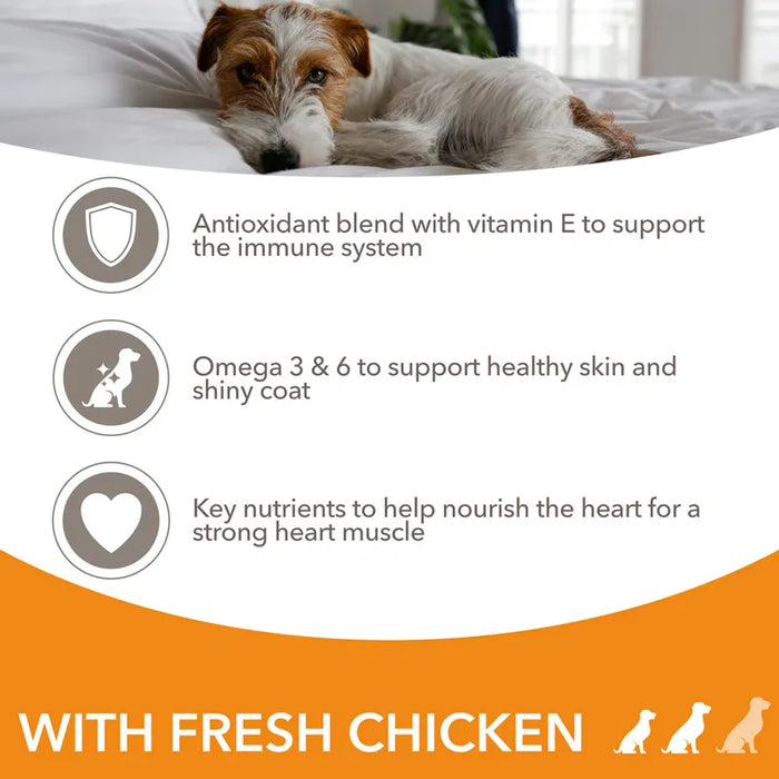 Iams Dog Adult Small / Medium Breed Chicken 12kg