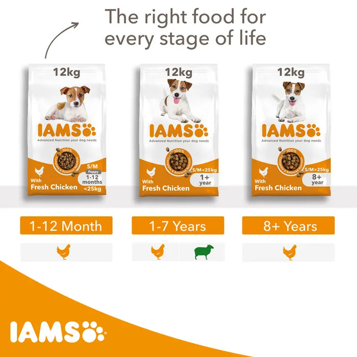 Iams Dog Adult Small / Medium Breed Chicken 12kg