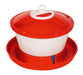 Poultry Waterer Rapid Clean 6L
