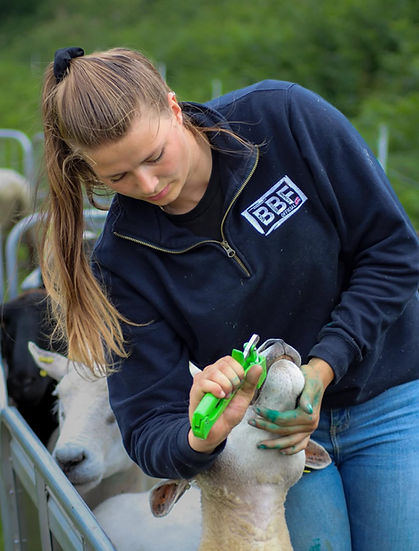 Back British Farming Unisex 1/4 Zip Navy