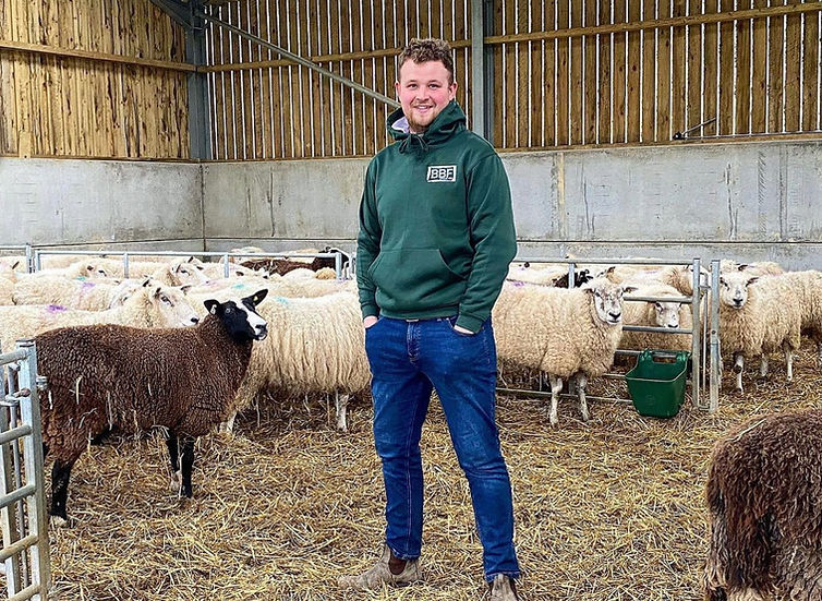 Back British Farming Pro Hoodie Kelly Green