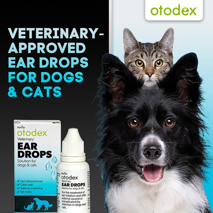 Otodex Ear Drops 14ml