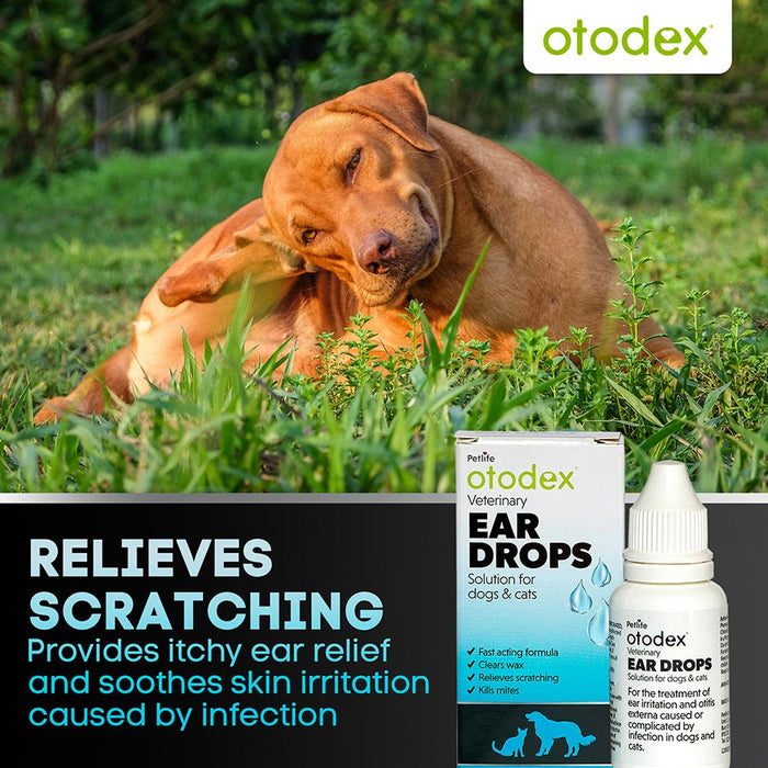 Otodex Ear Drops 14ml