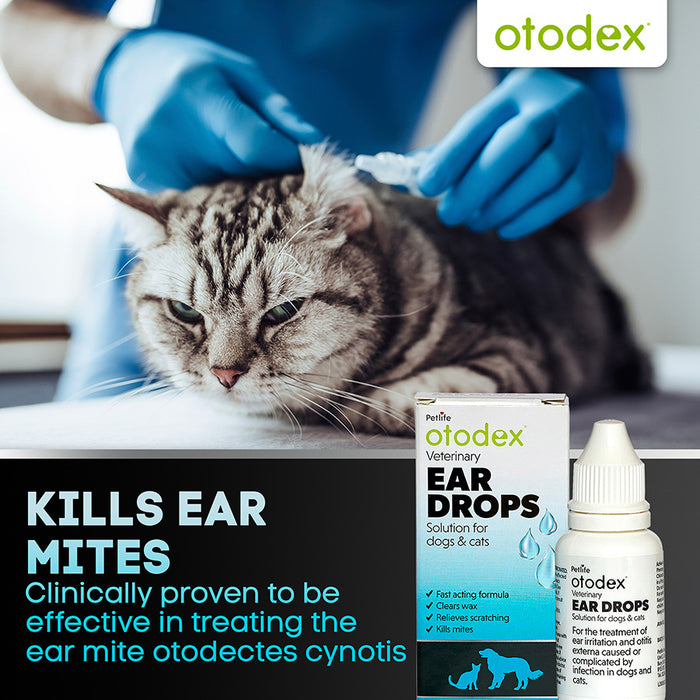 Otodex Ear Drops 14ml