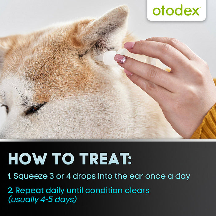 Otodex Ear Drops 14ml