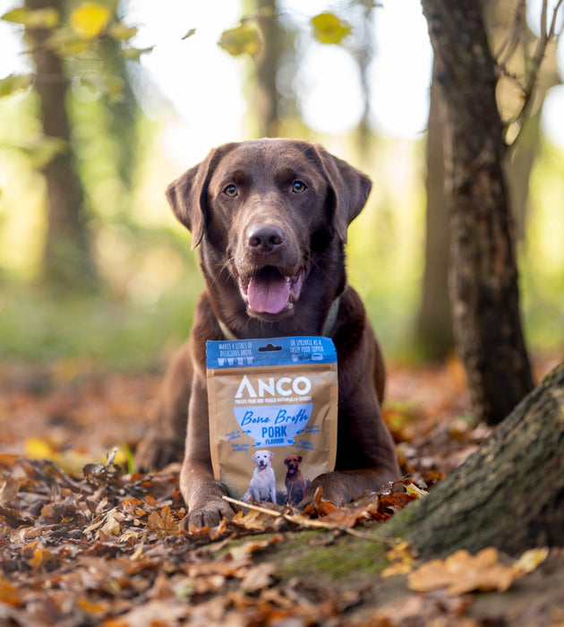 Anco Pork Bone Broth 120g
