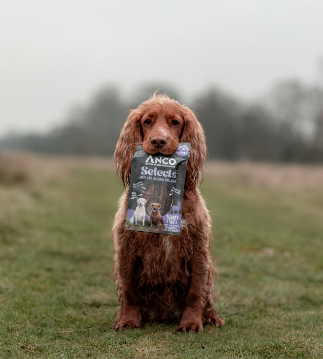 Anco Turkey Strips With Collagen