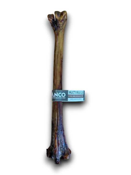 Anco Ostrich Metatarsus Bone
