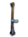 Anco Ostrich Metatarsus Bone