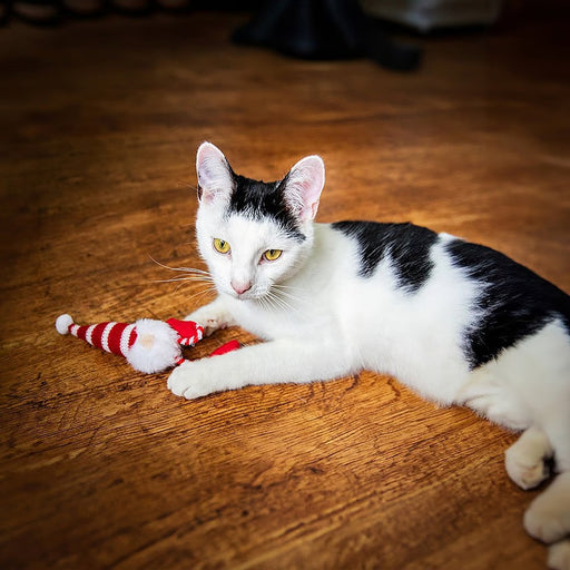 Rosewood Christmas Gus Gonk Cat Toy
