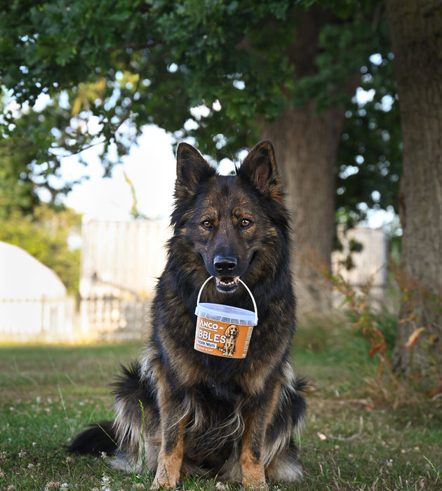 Anco Nibbles Chicken Treats 300g