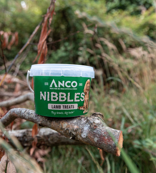 Anco Nibbles Lamb Treats 300g