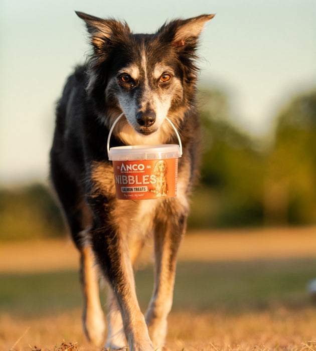 Anco Nibbles Salmon Treats 300g