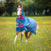 Shires Tempest Lite Combo Turnout Rug