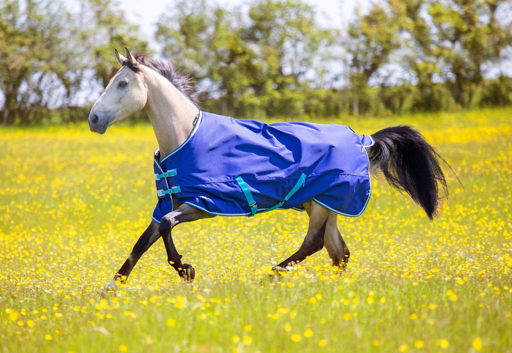 Shires Tempest 100g Standard Neck Turnout Rug