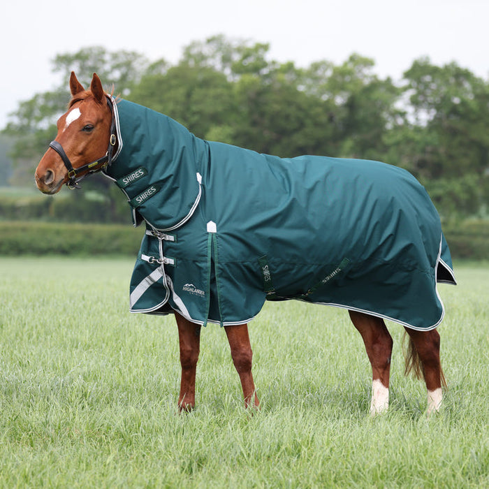 Highlander 300g Turnout Combo Rug Green