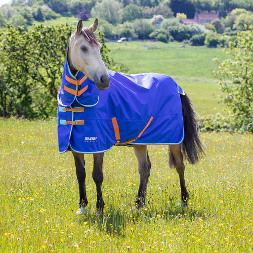 Shires Tempest 50g Combo Turnout Rug