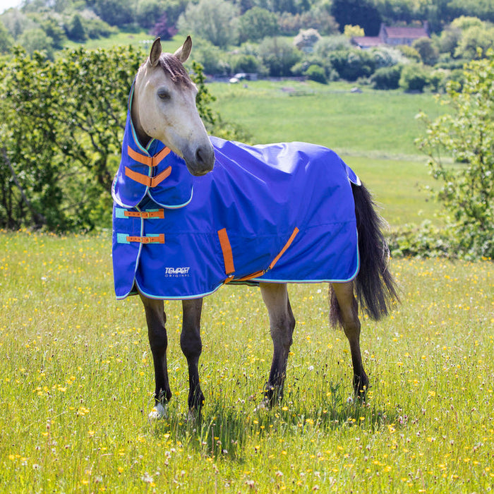 Shires Tempest 50g Combo Turnout Rug