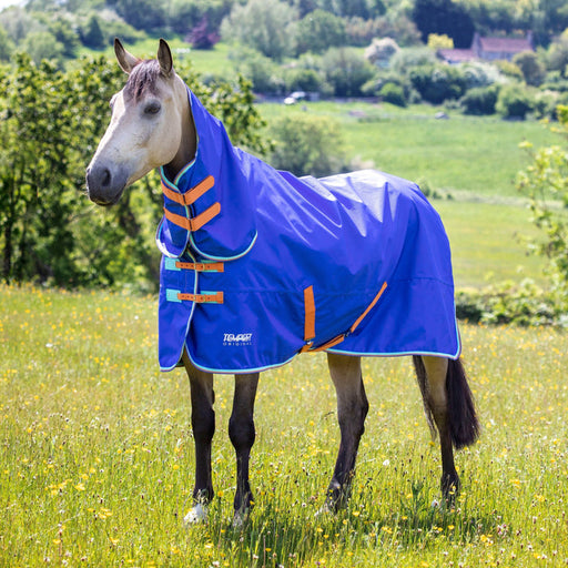Shires Tempest 50g Combo Turnout Rug