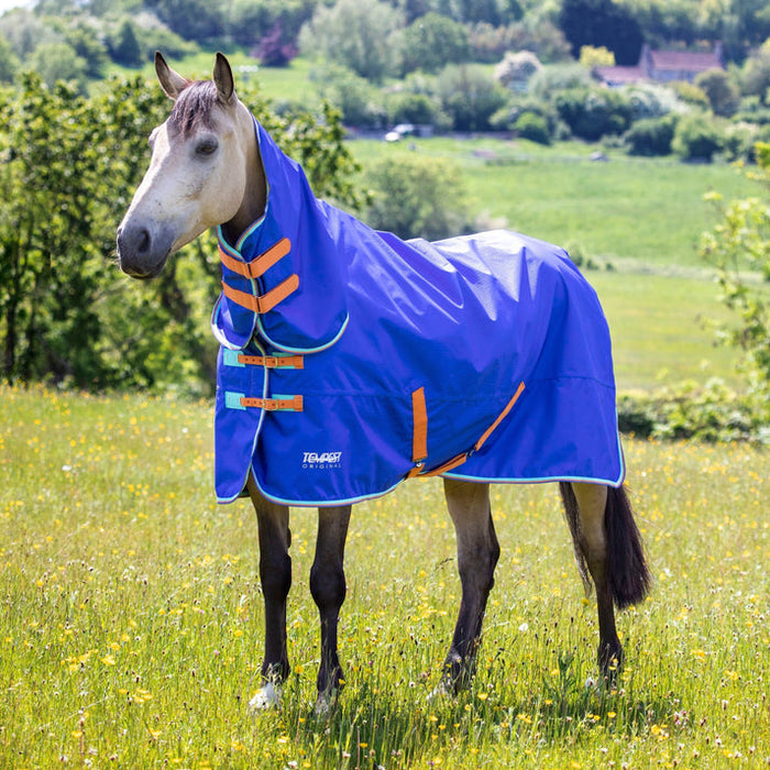 Shires Tempest 50g Combo Turnout Rug