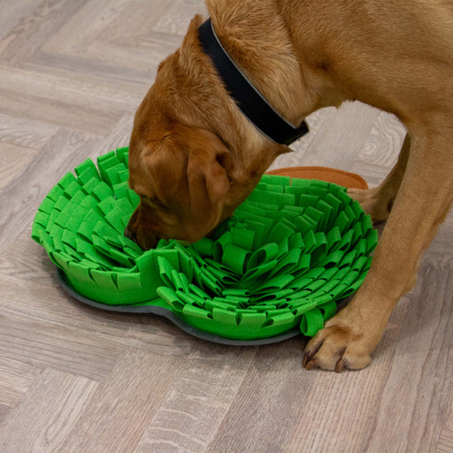 Ancol Orva Snuffle Mat Apple