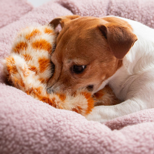 Ancol Cuddle Giraffe Floppet (Silent)