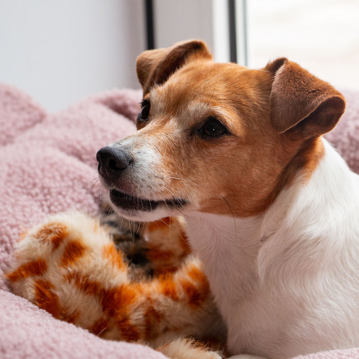 Ancol Cuddle Giraffe Floppet (Silent)