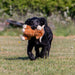 Ancol Small Bite Highland Cow