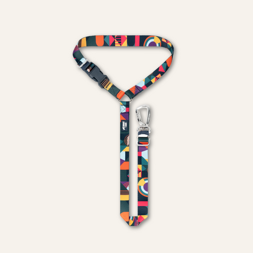 Twiggy Tags Adventure Seatbelt Aurora 2.0