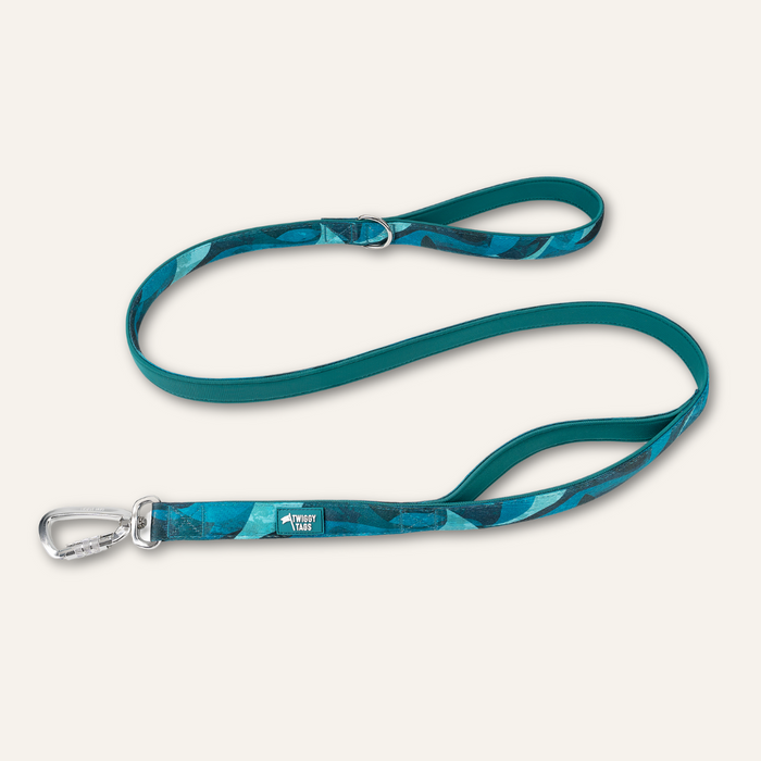 Twiggy Tags Adventure 2.0 Close Control Lead Lagoon