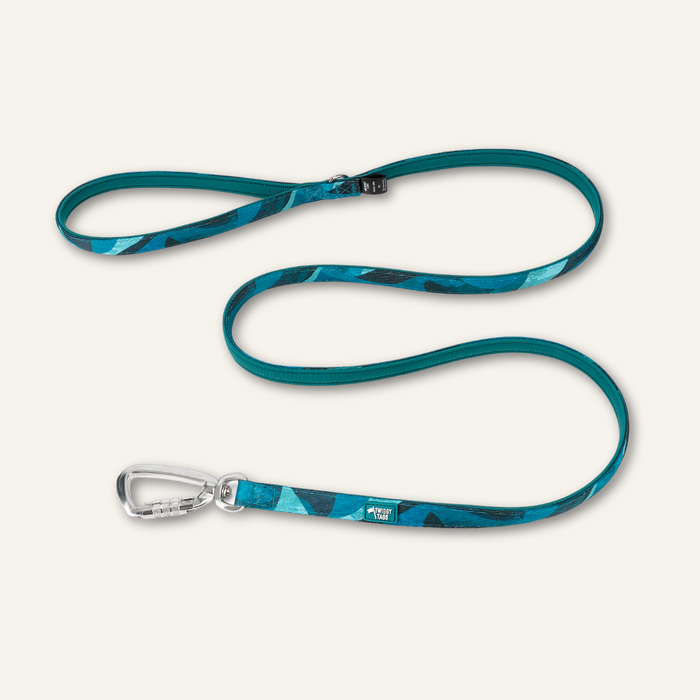 Twiggy Tags Adventure 2.0 Small Lead - Lagoon